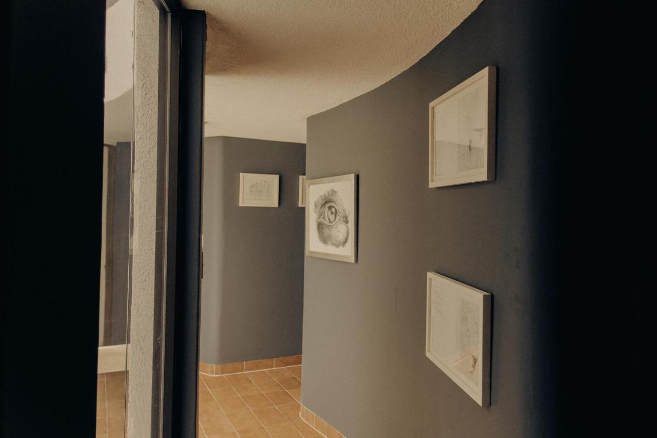 Casa Lulu Coyoacan Alvaro Obregon エクステリア 写真