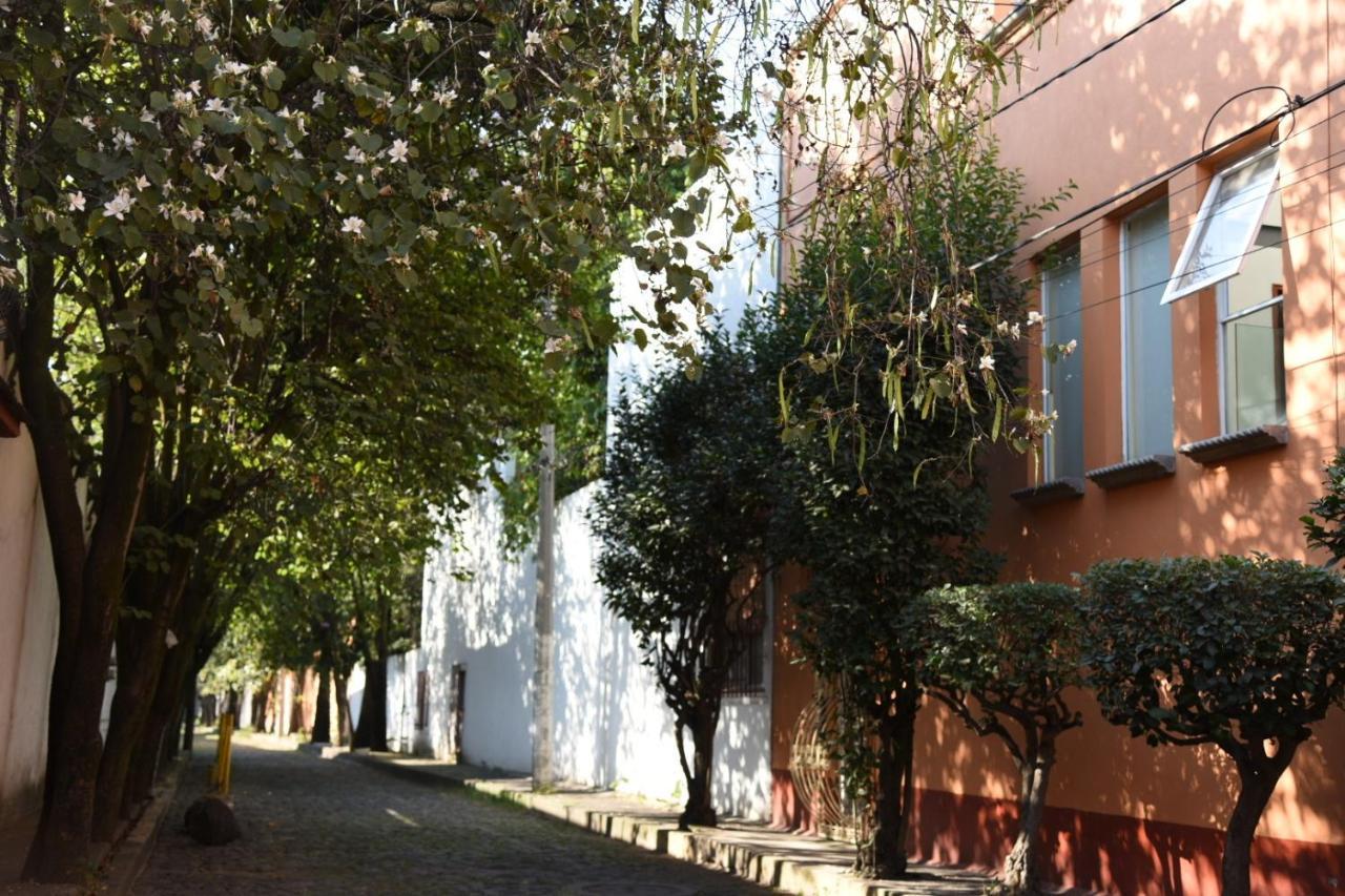 Casa Lulu Coyoacan Alvaro Obregon エクステリア 写真