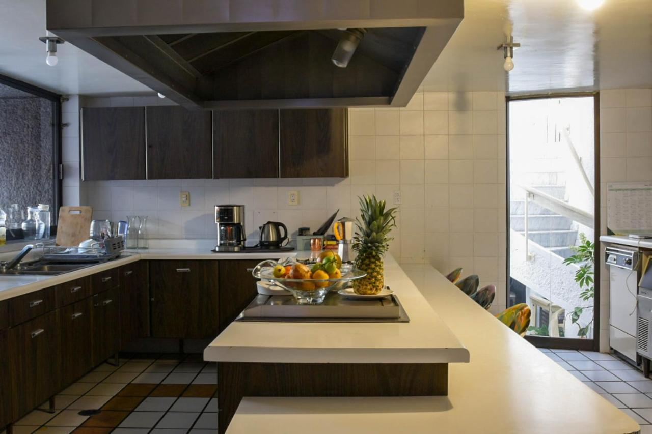 Casa Lulu Coyoacan Alvaro Obregon エクステリア 写真
