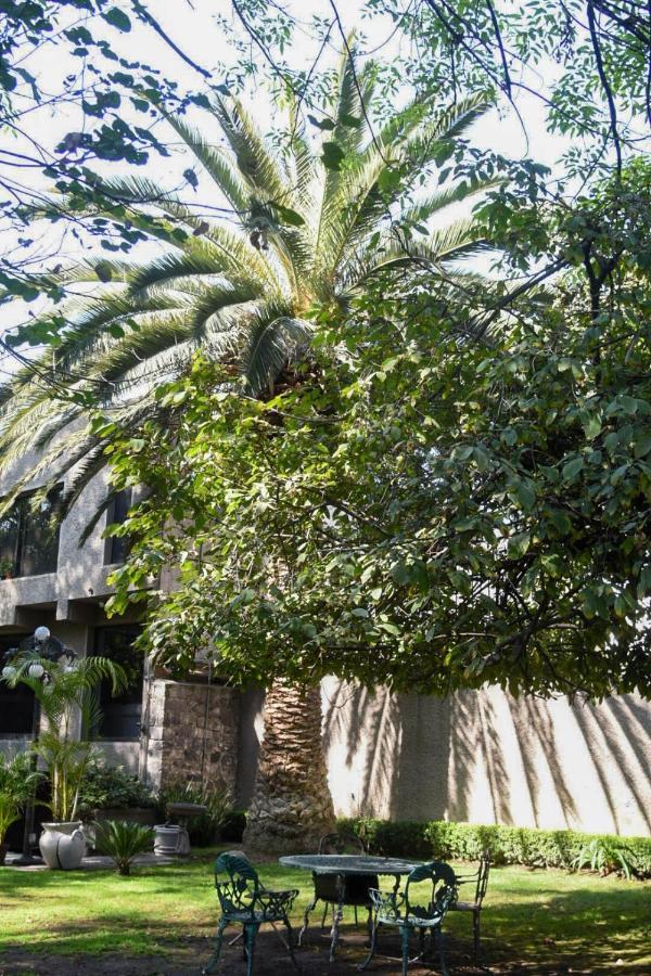 Casa Lulu Coyoacan Alvaro Obregon エクステリア 写真